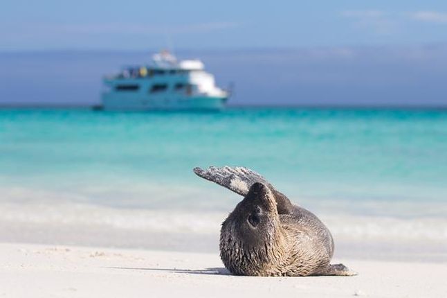 Verlenging Galapagos woensdag vertrek 2