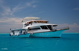 12 daagse combi Liveaboard Sheena en Filitheyo Resort