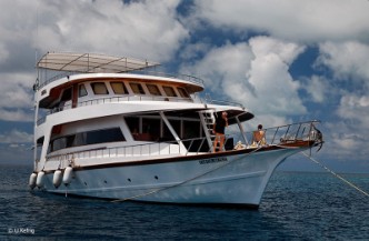 12 daagse combi Liveaboard Sheena en Filitheyo Resort 5