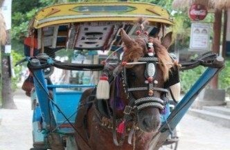 14daagse rondreis Bali enen Lombok 0