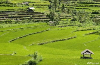 14daagse rondreis Bali enen Lombok 1