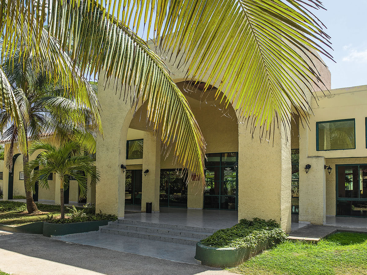 Villa Tortuga Hotel 7