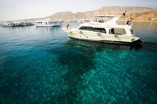 Best of Ras Mohamed and Straits of Tiran diving 1