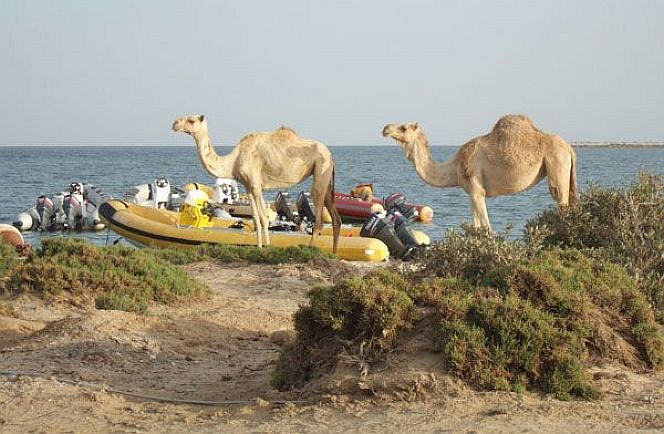 Wadi Lahami Village