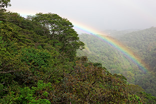 Costa Rica and Panama Discovery 2