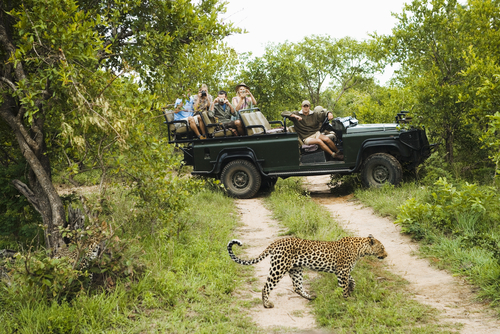 Kruger National park en Tofo Beach 3