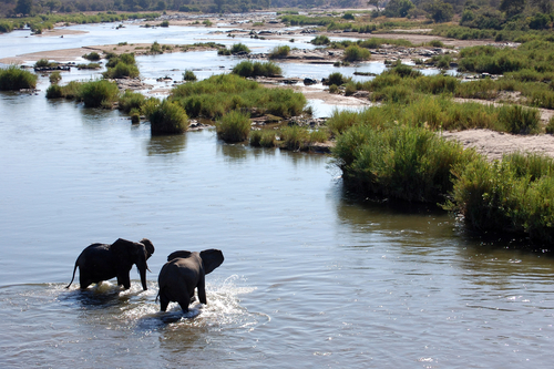 Kruger National park en Tofo Beach 8