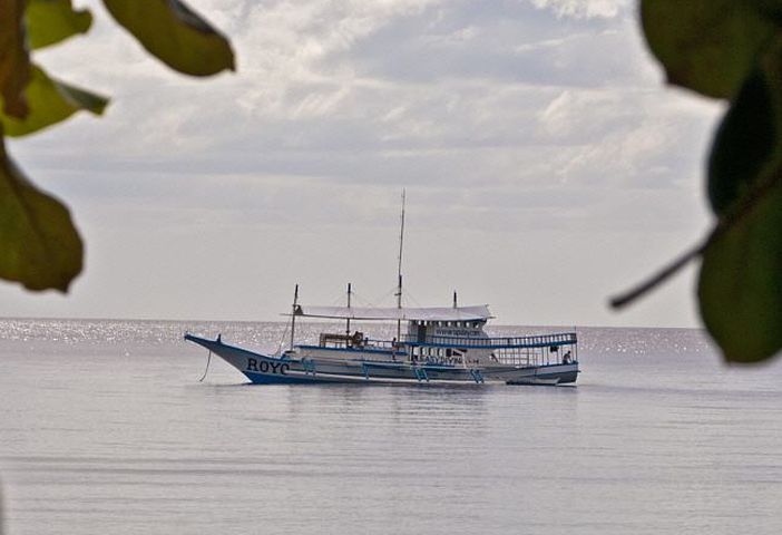 Duiksafari Visayas Compleet 0