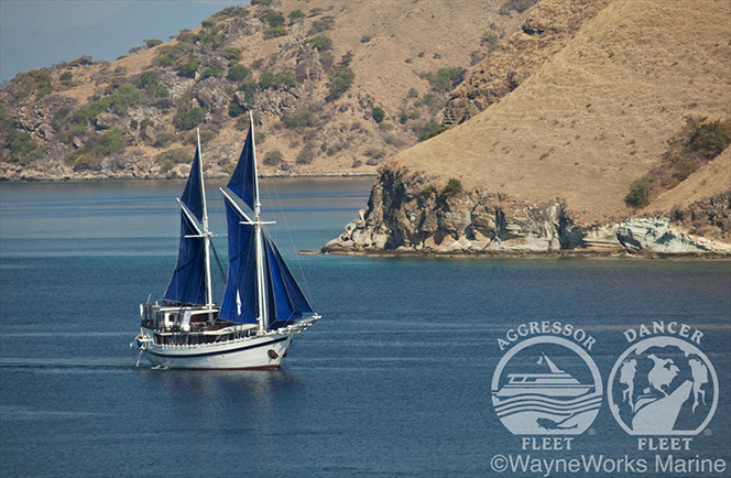 Komodo Dancer  liveaboard 10 dagen