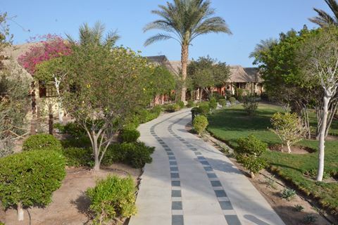 Panorama Bungalows El Gouna 3