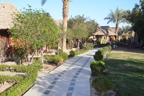 Panorama Bungalows El Gouna 18