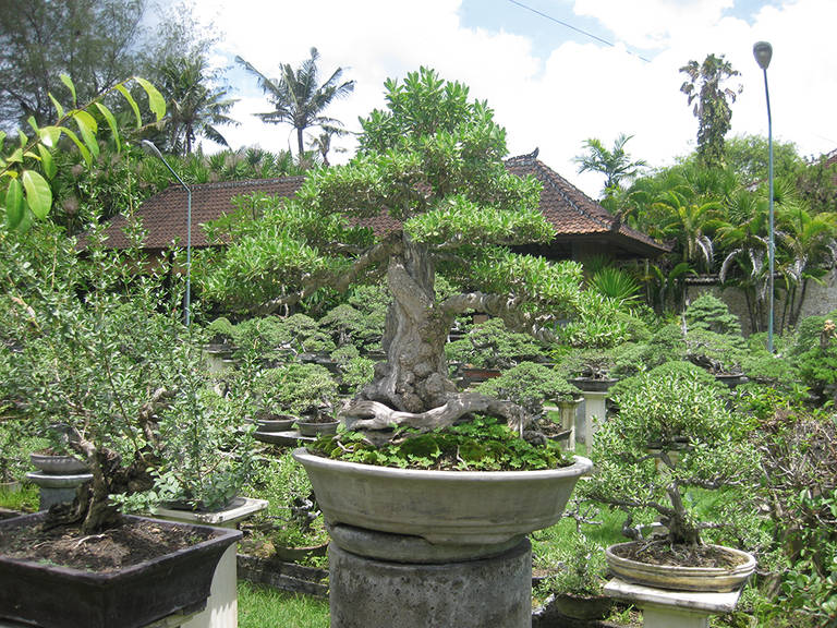 Sari Sanur Resort