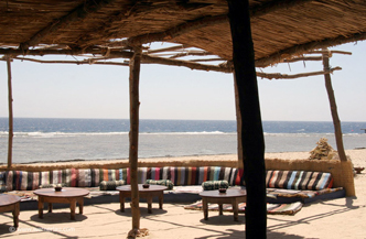 The Oasis Dive Resort Marsa Alam 7