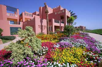 Leer nu duiken in Sharm  el Sheikh! 4* 11